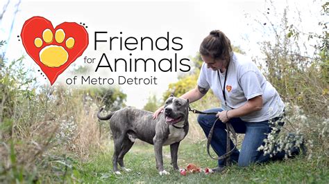 Friends for animals of metro detroit - The Friends for Animals of Metro Detroit is a 501(c)(3) tax-exempt, nonprofit organization (Tax ID No. 38-3171570). Your generous donations are 100% appreciated and 100% tax deductible. FRIENDS NEWSLETTER